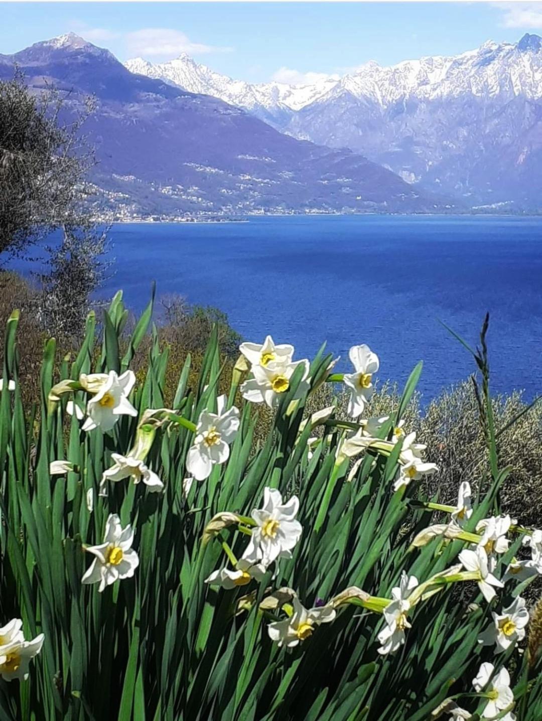 Balcony On Lake Pianello Pianello Del Lario Екстер'єр фото