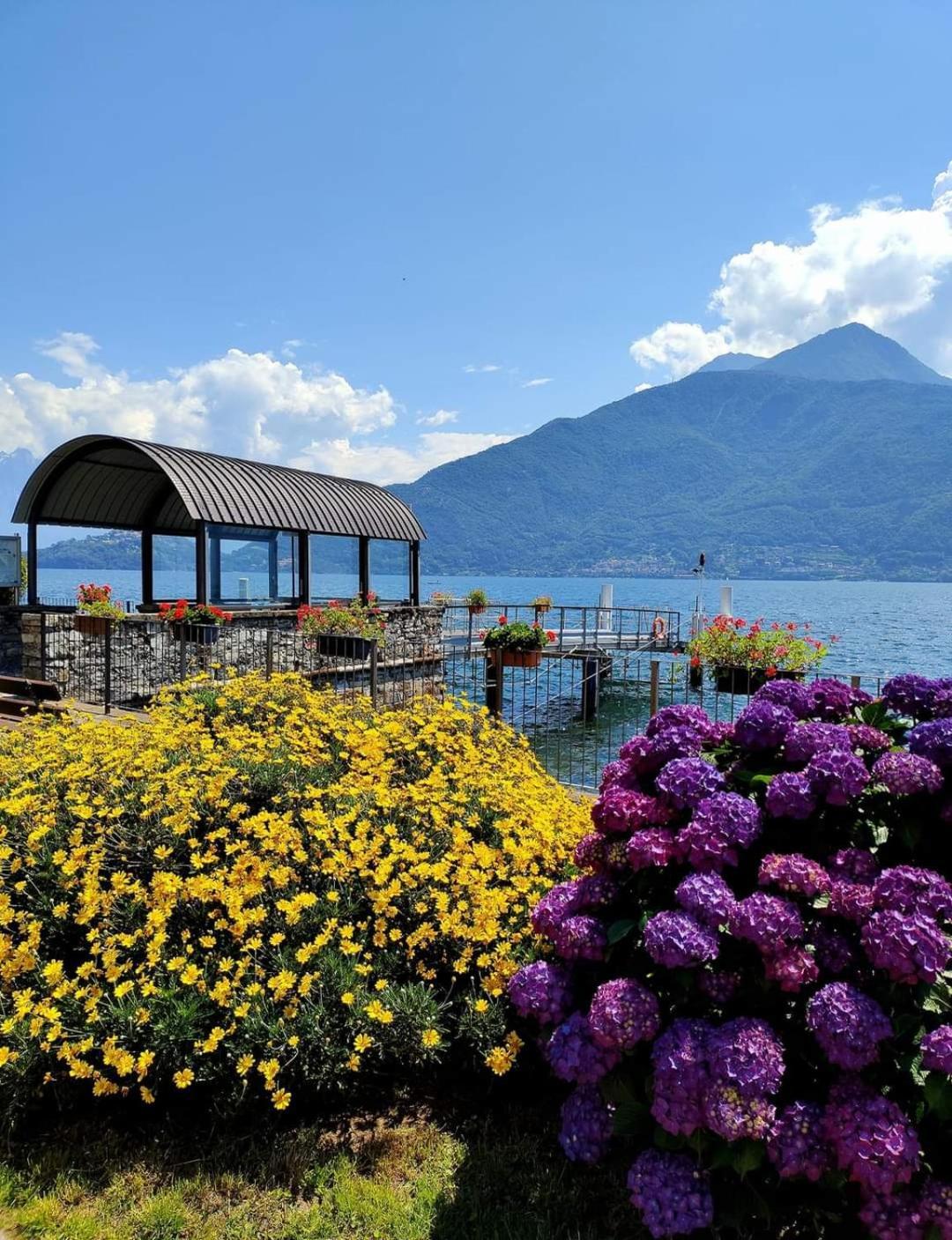 Balcony On Lake Pianello Pianello Del Lario Екстер'єр фото